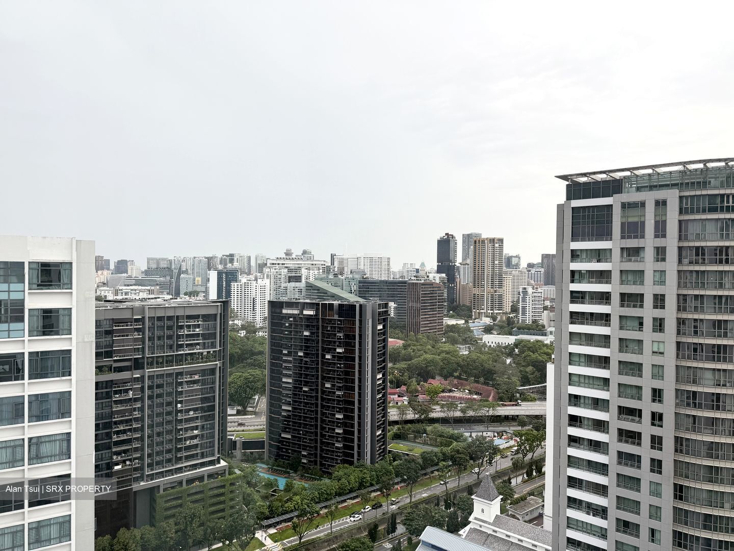 Amaryllis Ville (D11), Condominium #582398491